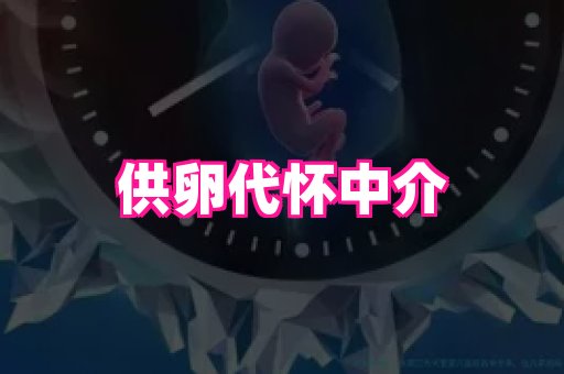 乐乐助孕网 1