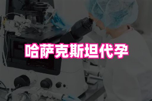 乐乐助孕网 2