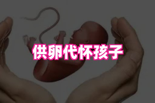 乐乐助孕网 4